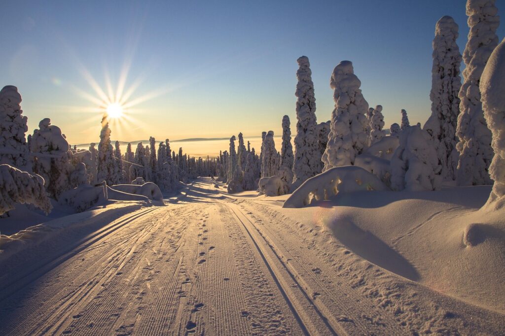 activiteiten Lapland winter